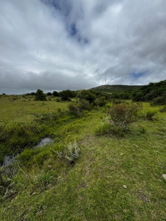 108 HECTAREAS EN GARZON 