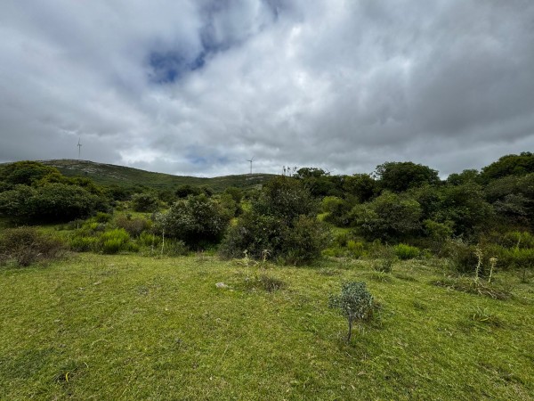 108 HECTAREAS EN GARZON 