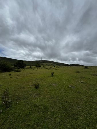 108 HECTAREAS EN GARZON 