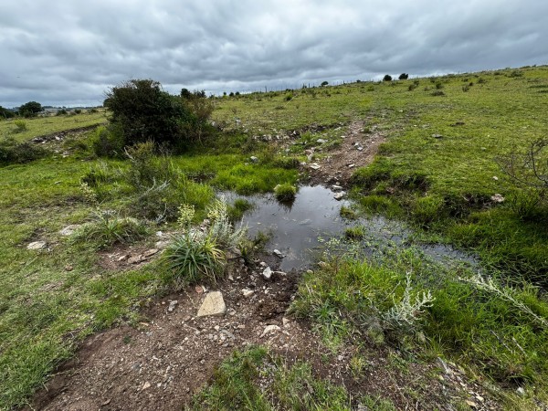 108 HECTAREAS EN GARZON 