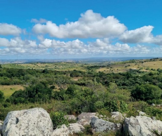 SENDEROS DE AIGUA, lotes de 3 hectáreas