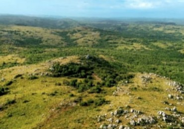 SENDEROS DE AIGUA, lotes de 3 hectáreas