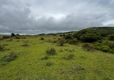 108 HECTAREAS EN GARZON - VENTA URGENTE!!!